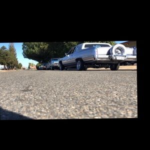 Meet your Posher, Freddy